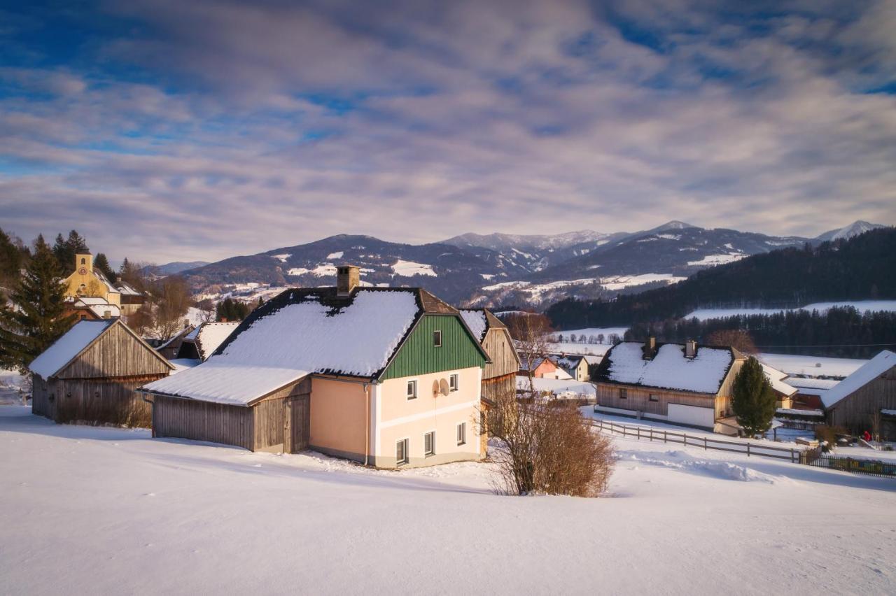 Ferienhaus Schwoellerbauer Sankt Martin am Grimming Bagian luar foto